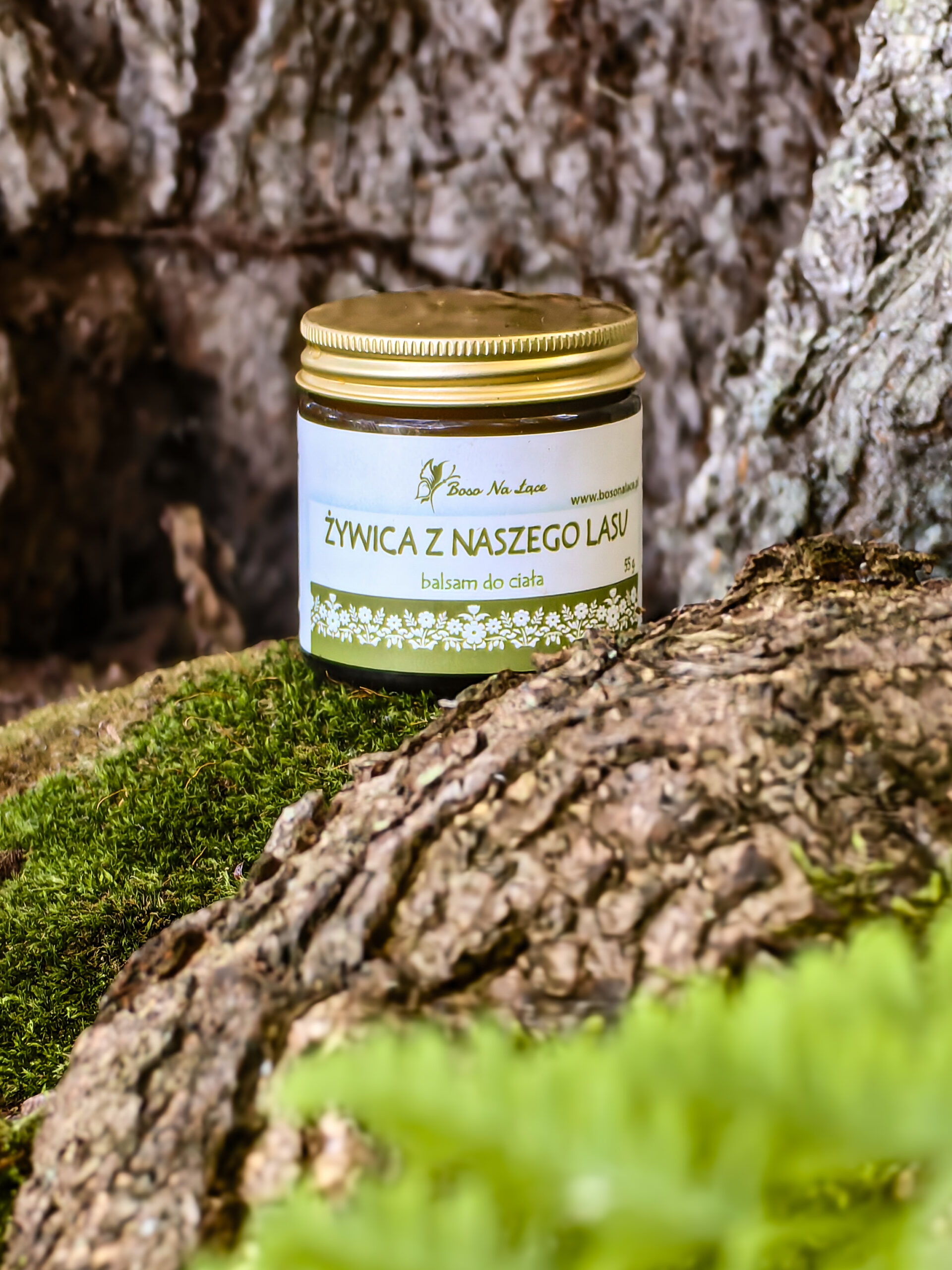 Żywica z naszego lasu– naturalny balsam na przeziębienie, ból mięśni i oparzenia - obrazek 2