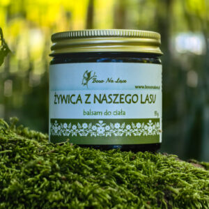 Żywica z naszego lasu– naturalny balsam na przeziębienie, ból mięśni i oparzenia